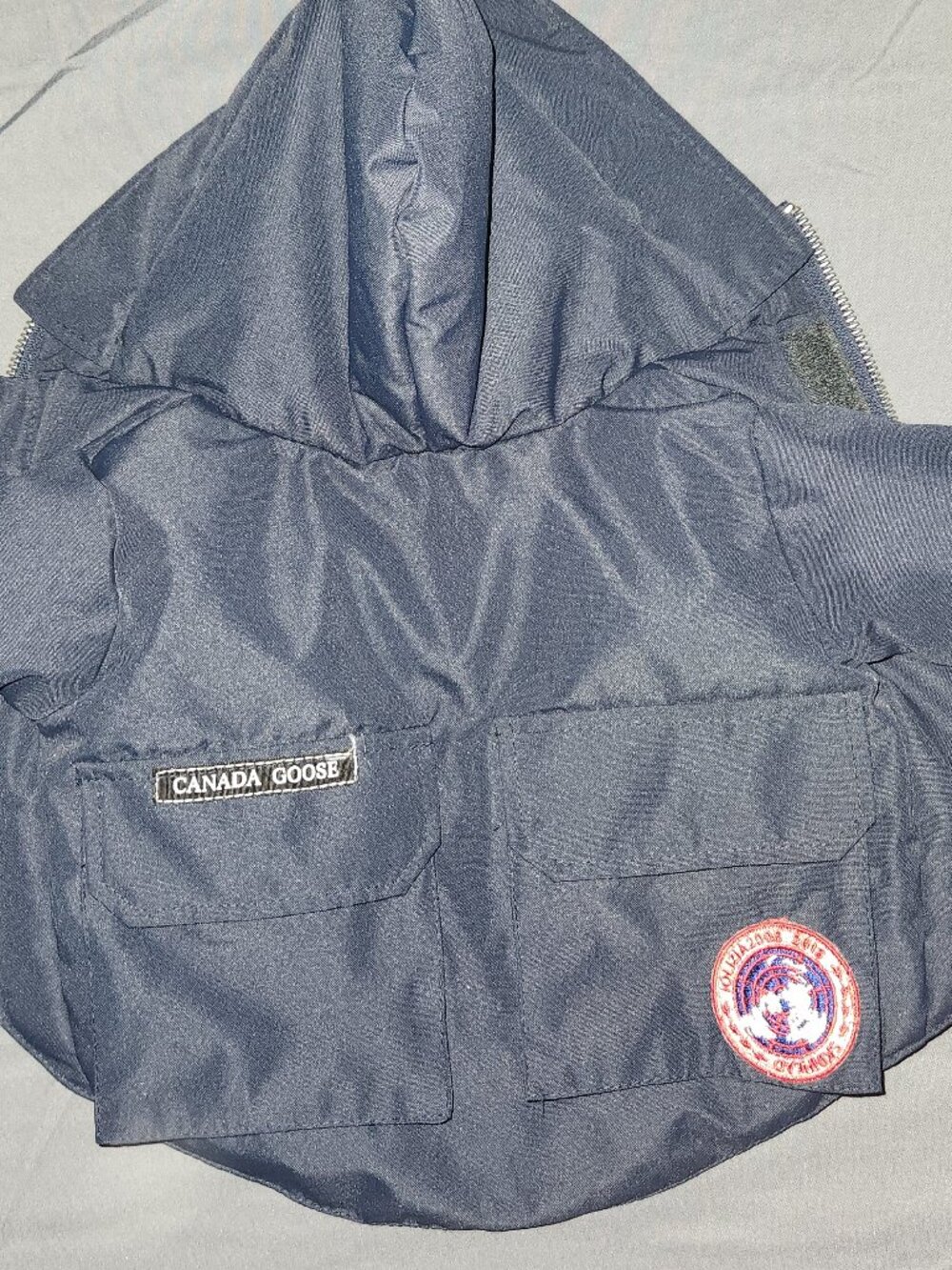 Canada Pooch Northern Hemisphere Explorer Style Dog Parka Coat Blue Warm No Fur
